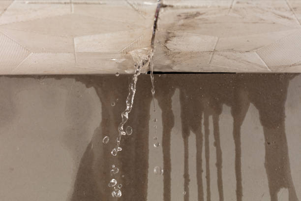 Professional Sewage Cleanup technician working in Potrero, CA
